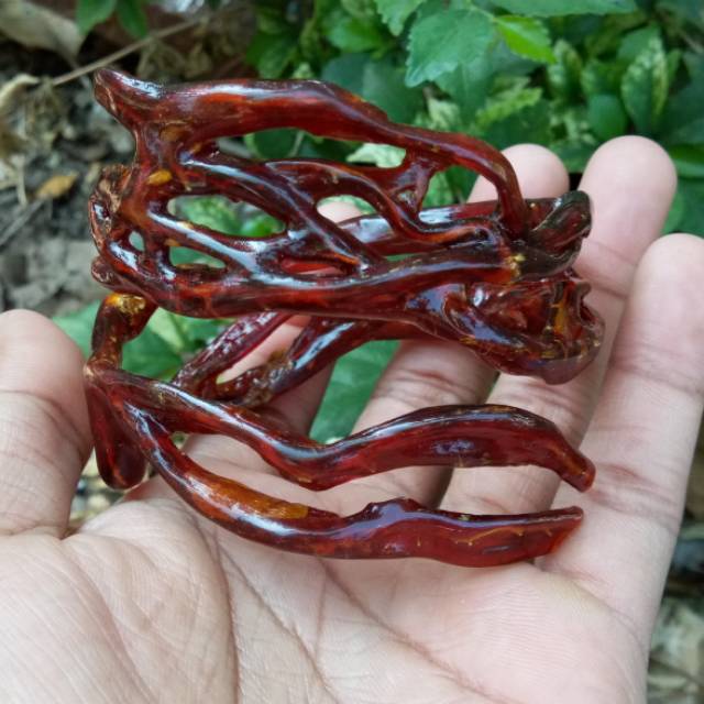 gelang akar bahar merah combong