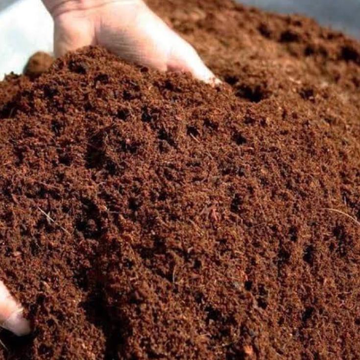 

Tetap Trendϟ Cocopeat 1kg