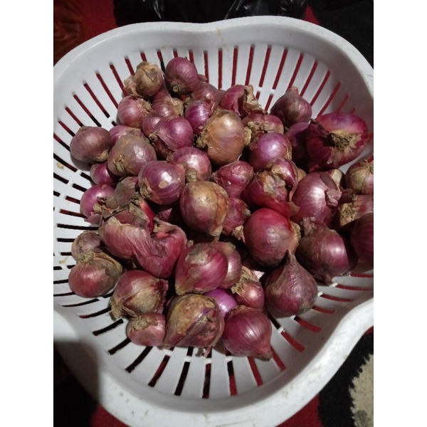 

Bawang merah