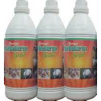 Nutrisi Ternak Obat Ternak Herbafarm Ternak Vitamin Ternak Murah