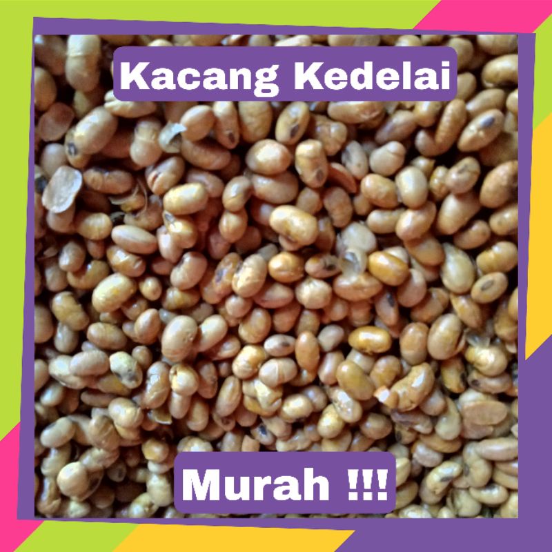 

Kacang Kedelai Goreng Renyah 500gr Snack Murah