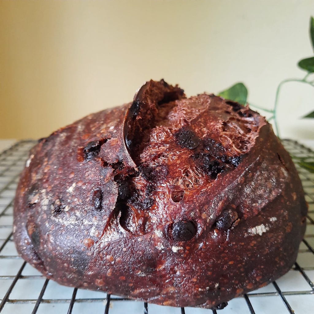 

GR Sourdough Chocolate Country Bread Sourdough Brownie Sourdough Coklat Roti Coklat Artisan