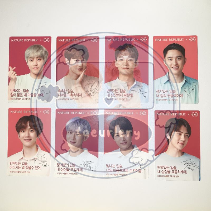 PC EXO Nature Republic