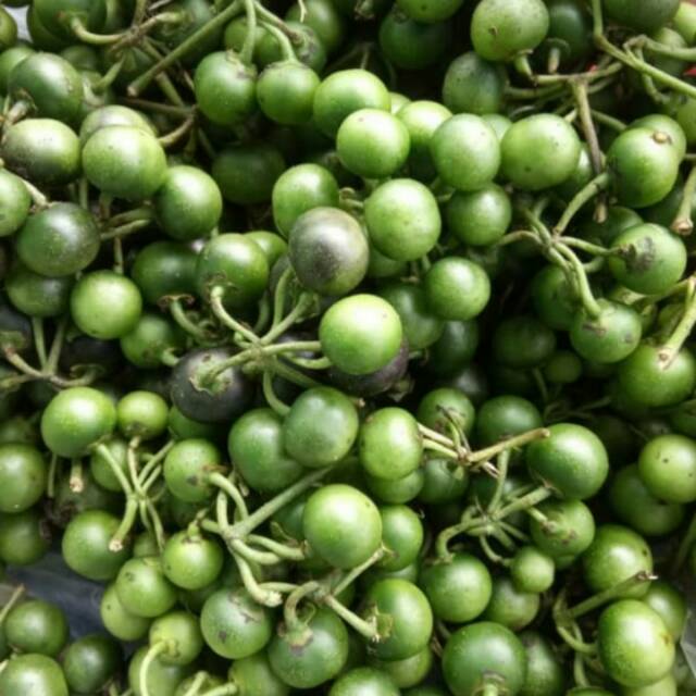 

Lenca PER 150 gram