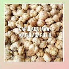 

Biji kapulaga putih(kapulaga jawa)/100gr/250gr