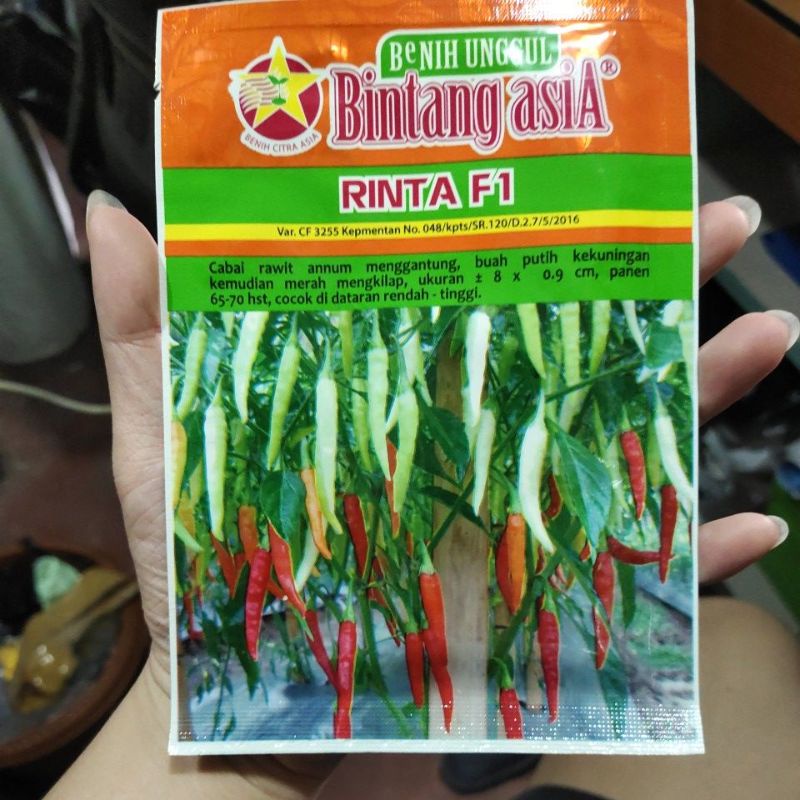 Benih Cabe Rawit Rinta F1 Bintang Asia 10 Gram