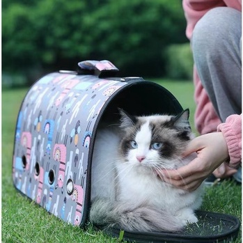 Tas Kucing  Pet Cargo Termurah Model 2 in 1 Tas Kucing Dan Hewan Pet Carrier Banyak Motif Terbaru