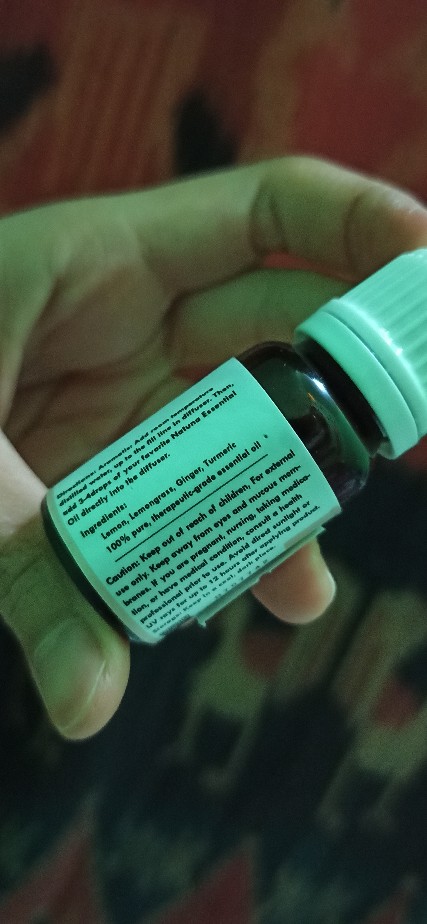 Natuna Ginger Bread Essential Oil Diffuser Humidifier Minyak Esensial Air Purifier Aromatherapy Oil