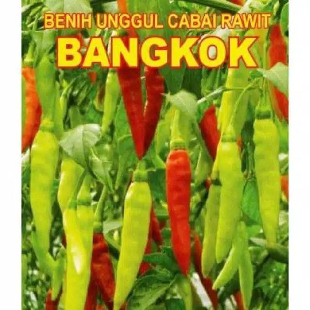Repack Benih Biji Bibit Cabe Rawit Bangkok Putih 20biji