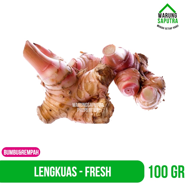 

Lengkuas Laos Laja Kelawas Bandung 100g