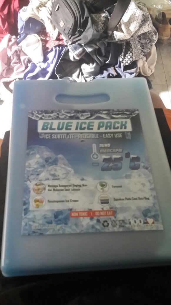 Ice Pack Besar Ice Pack Kotak Besar Ice Pack Jumbo Murah Blue Ice Pengganti Dry Ice
