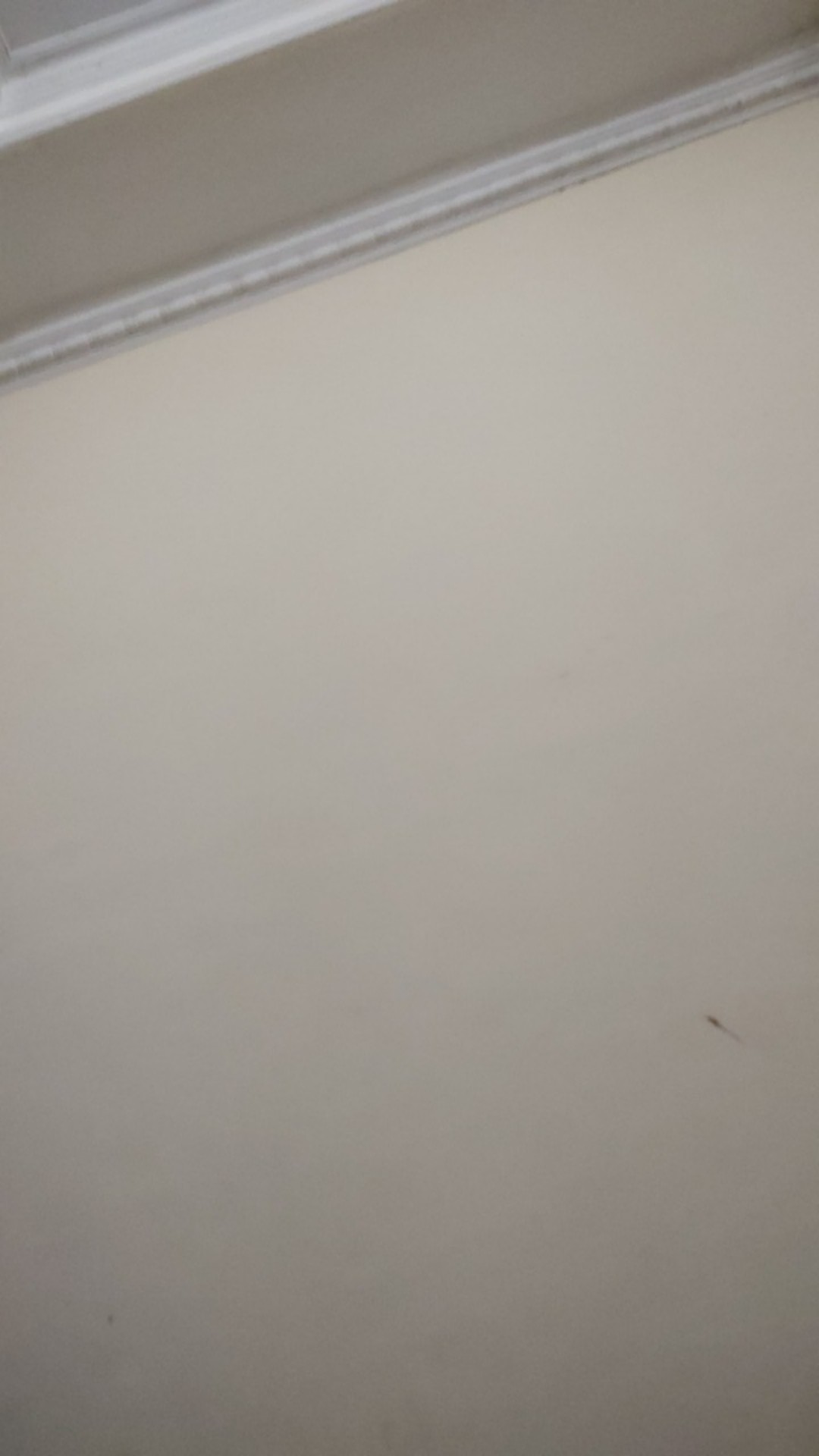 Shopashop Solo Batik Couple Syahnaz Tulle Mutiara - 5 Warna