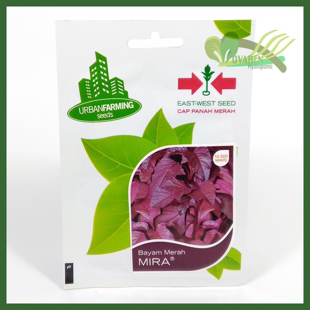 Benih Bibit Bayam Merah Mira Cap Panah Merah