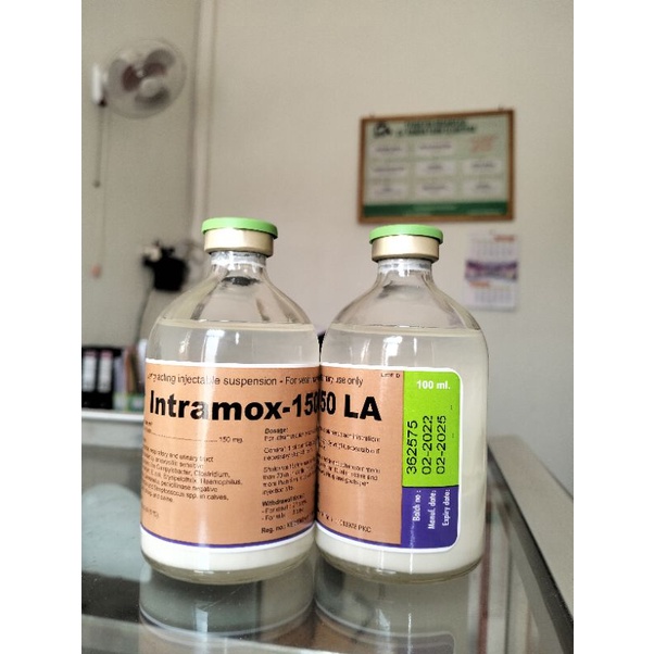 INTRAMOX LA 100 ML - antibiotik hewan ternak