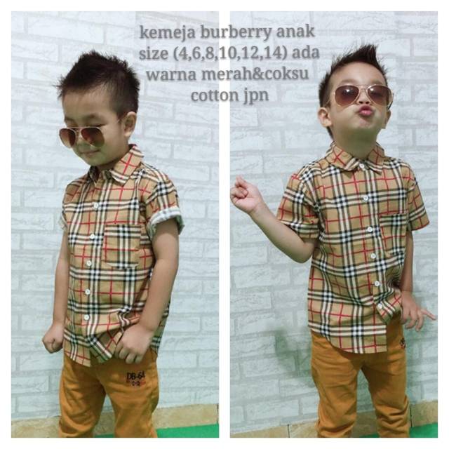 2 warna JC Kemeja Burberry Anak / Kemeja anak laki laki terbaru