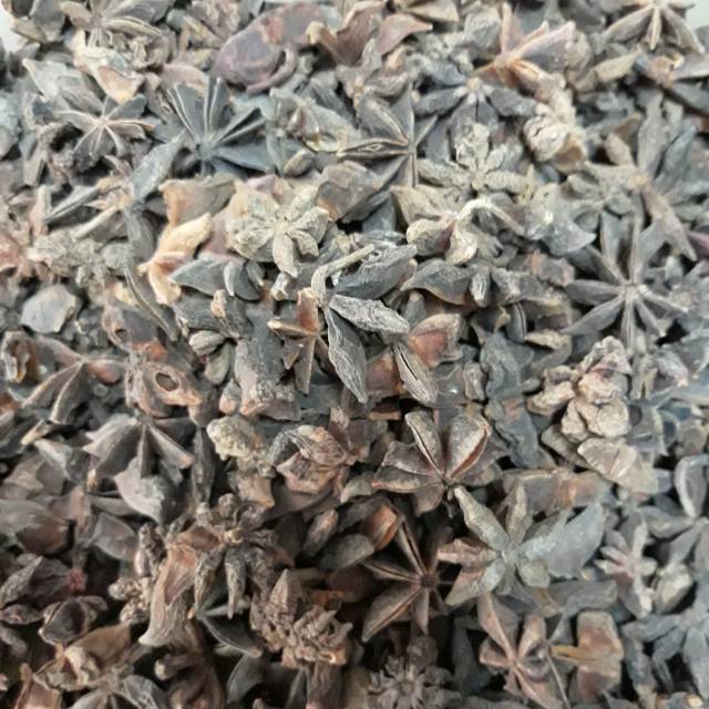 

Bumbu dapur kembang lawang bunga lawang pekak 250 gram