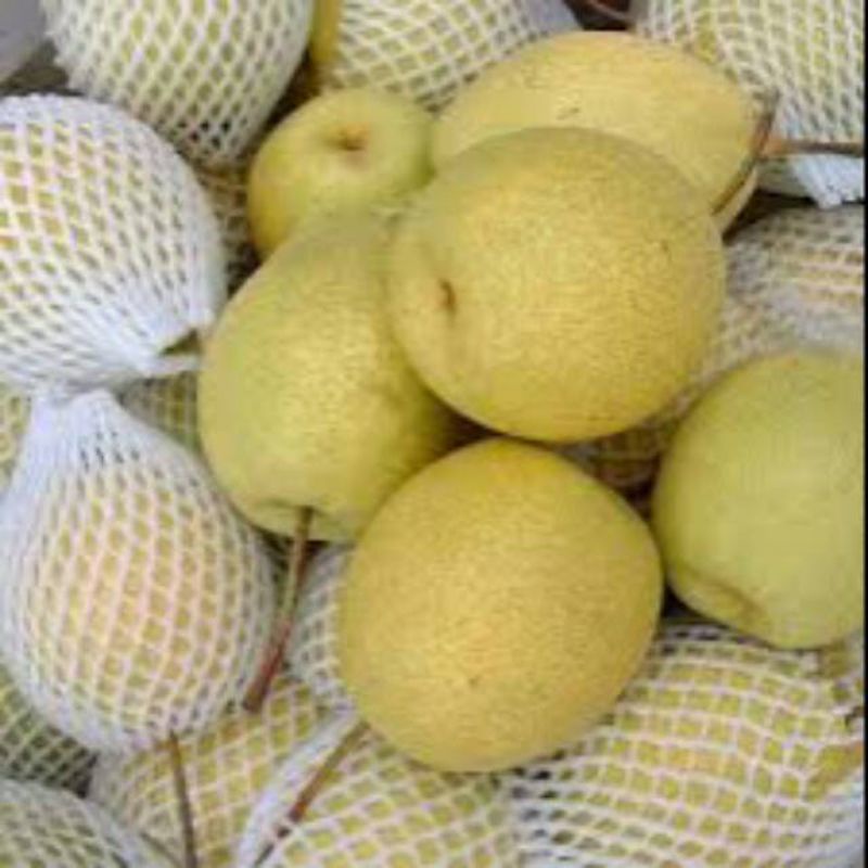 

buah pirr sweet segar / 1kg frees di warunk Juni