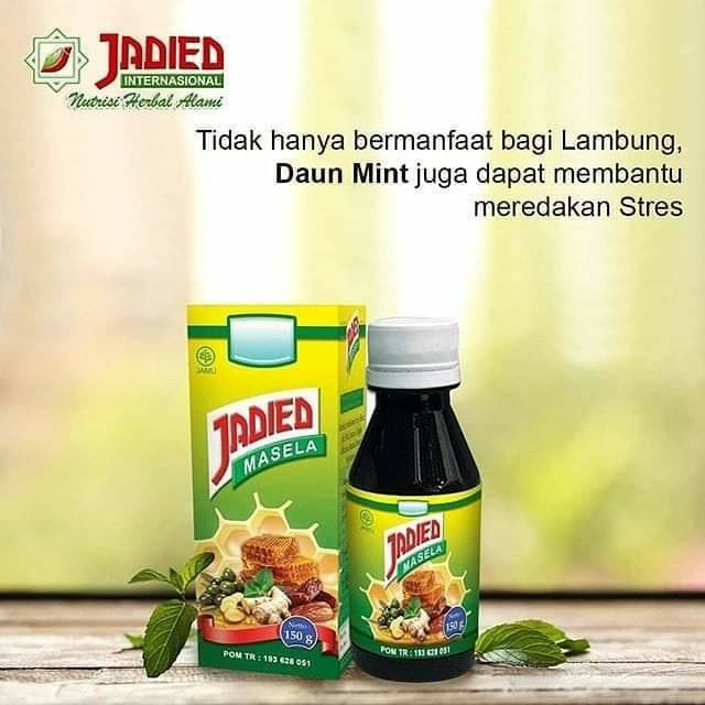 ™319! Obat Maag Kronis Jadied masela Lambung Mengatasi masalah Pencernaan - Obat maagh herbal