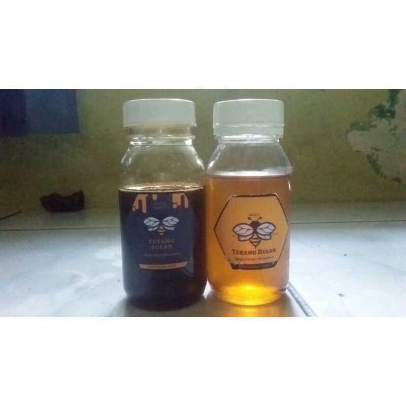 

MADU ASLI BADUY DARI HUTAN LIAR DIJAMIN KEASLIANNYA