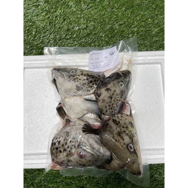 

Kepala ikan salmon 1kg