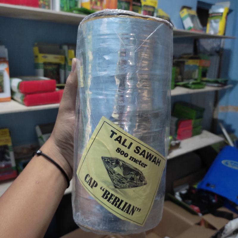 Tali plastik perak pengusir burung pipit disawah