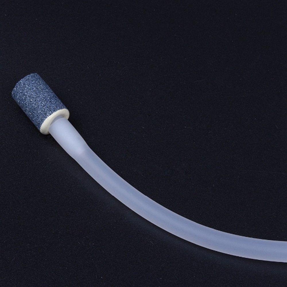 NICKOLAS1 Marocco galihggs galihatchery suketurable galihir alfinevice galihouth galihreeder galihish galihanks galihquarium mustofaccessories