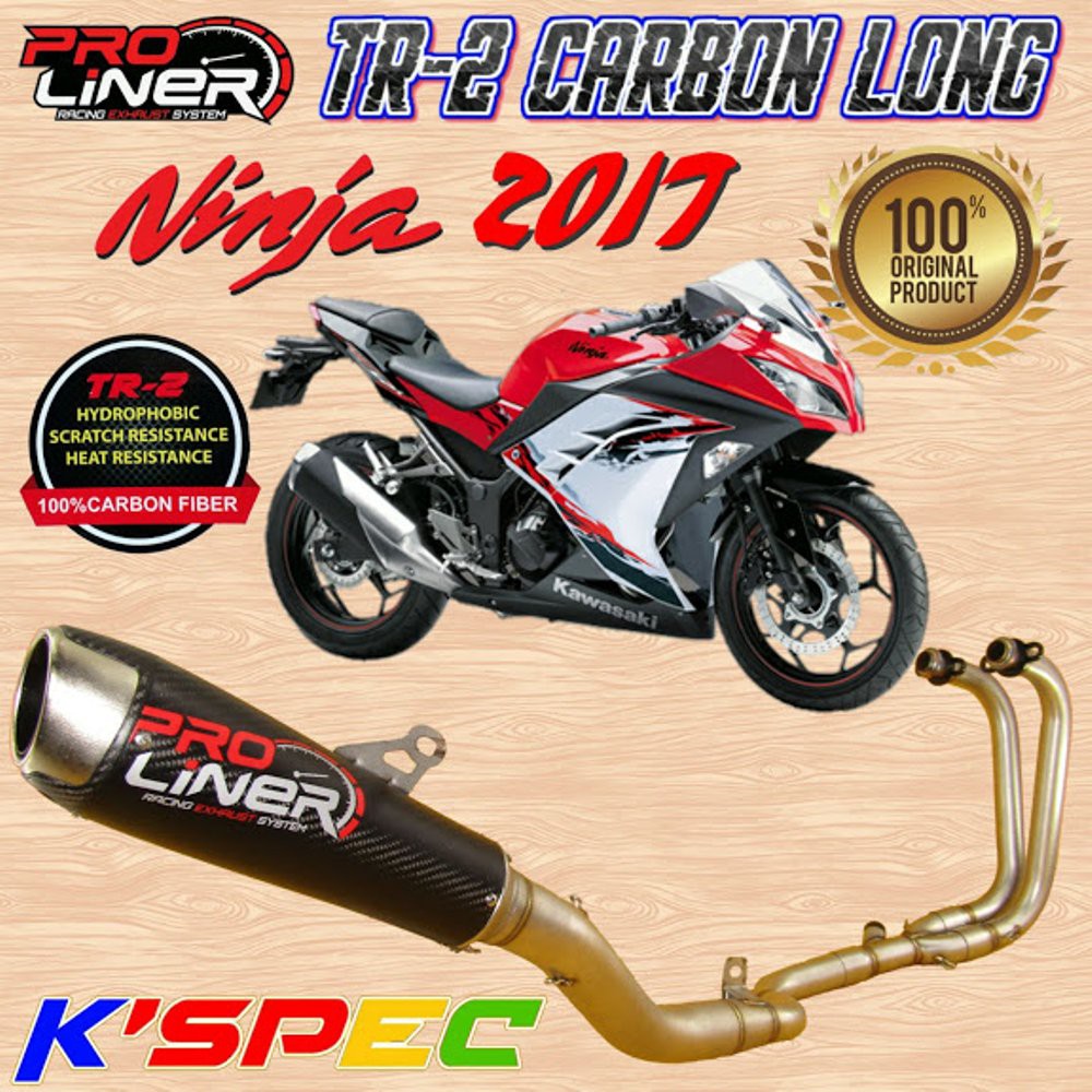Knalpot ProLiner TR-2 Carbon Long NINJA 250 Fi -2017 Orig bac 87