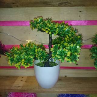 Pot Bonsai Beringin Besar Hias Artificial Shopee Indonesia Pot Bonsai Beringin Besar Hias Artificial Shopee Indonesia