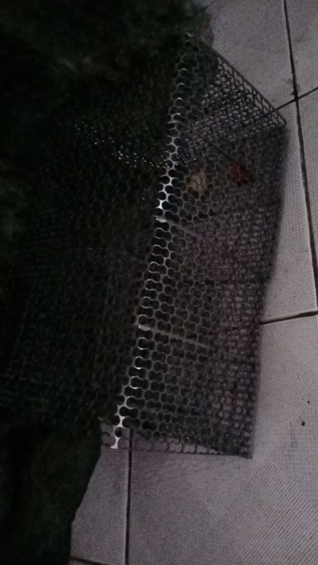 Promo Perangkap Tikus Curut Massal Besi Tebal Berkualitas