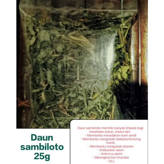 

Daun dan batang sambiloto