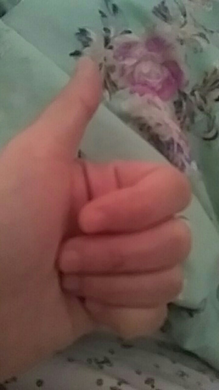 Tusuk Gigi Plastik Suapi Isi 600 Pcs/biji