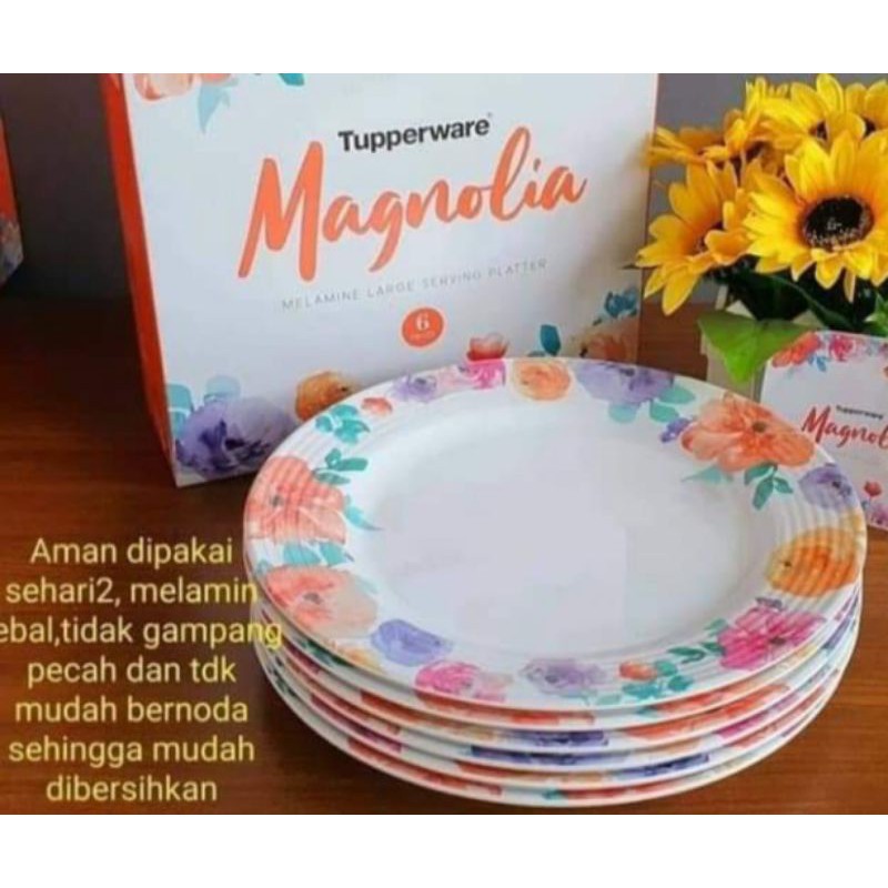 Tupperware Magnolia Large Plate 6pcs
