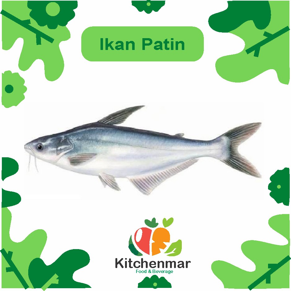 

Ikan Patin Segar - Per Ekor 500 gram