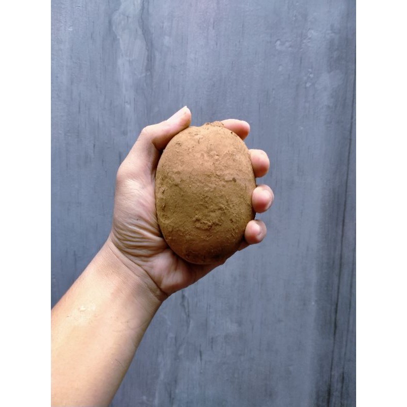 

Kentang dieng / kentang mentega 500gram