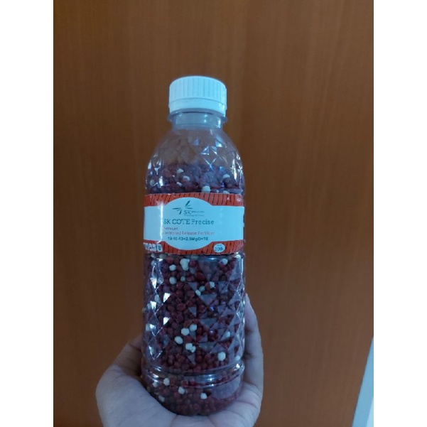 SK COTE 19-10-13 300gr