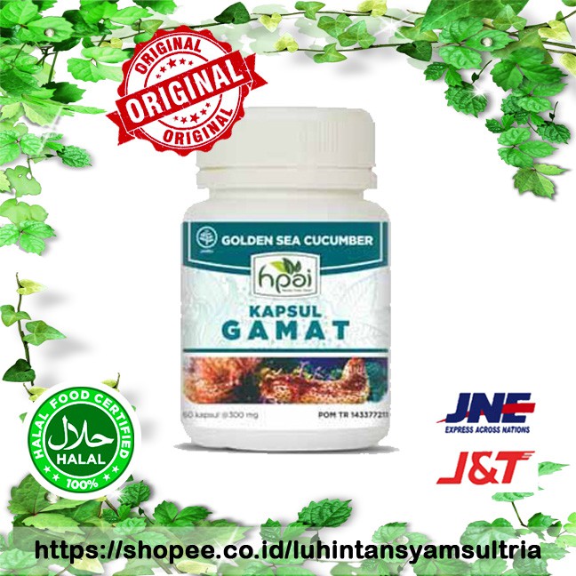 PAKET KAPSUL GAMAT - HNI HPAI