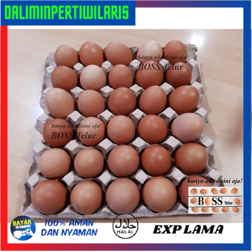 

BISA COD Boss Telur Ayam Negri isi 30 butir ( +/- 1.9 kg) PROMO [Kode 1|Kode 2|Kode 3|Kode 4|Kode