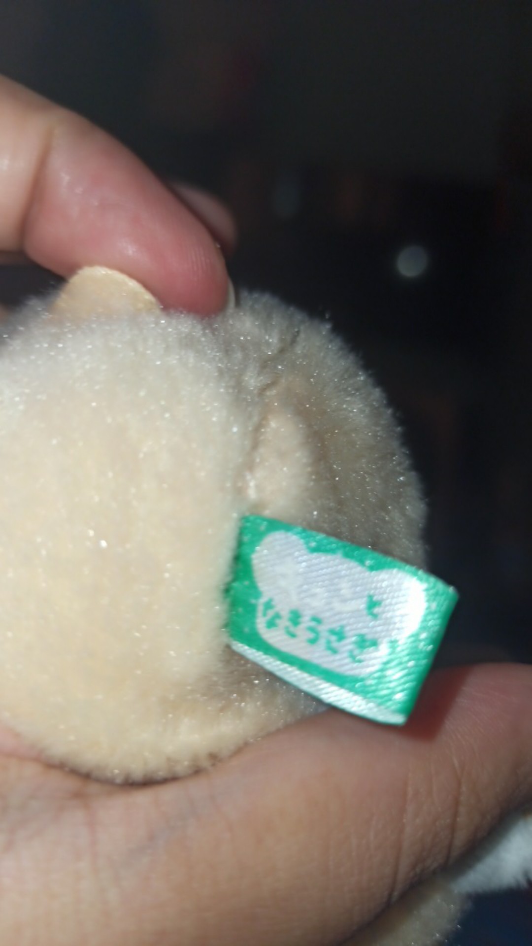 Pesanan Kak Chisha_souvenir