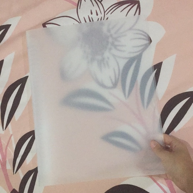 daiso A4 Binder translucent, 30 ring