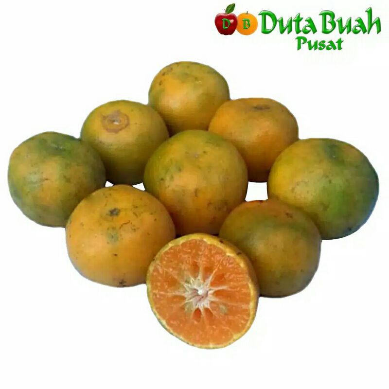 

1kg buah jeruk madu segar