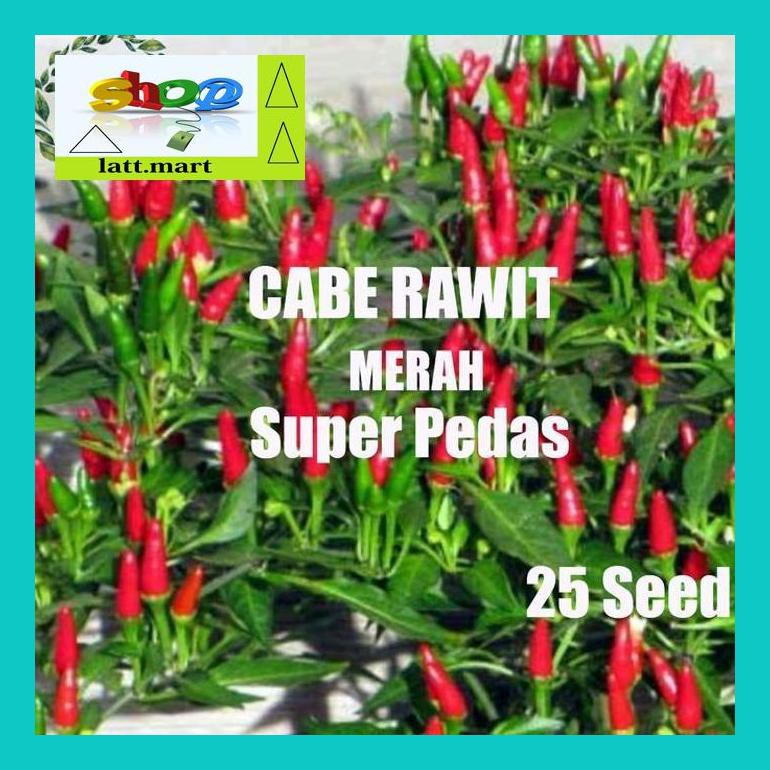 

Yu04Yts Benih Bibit Cabe - Cabai Rawit Merah Super Pedas Kemasan Repack Yul0F40Ul