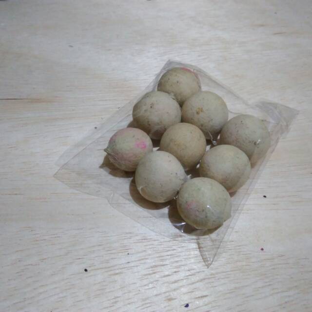 Biji nyamplung murah