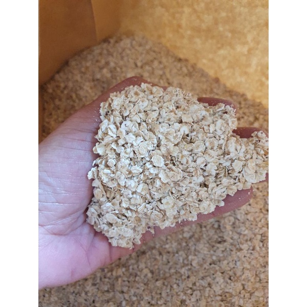 

quick oat / instant oat 1 kg
