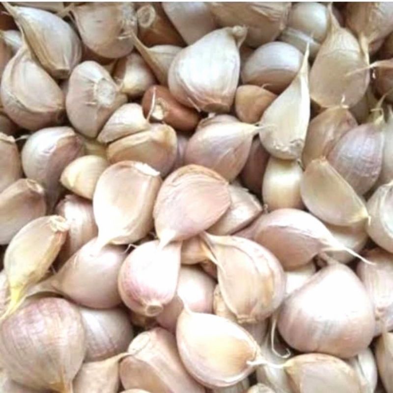 

Bawang