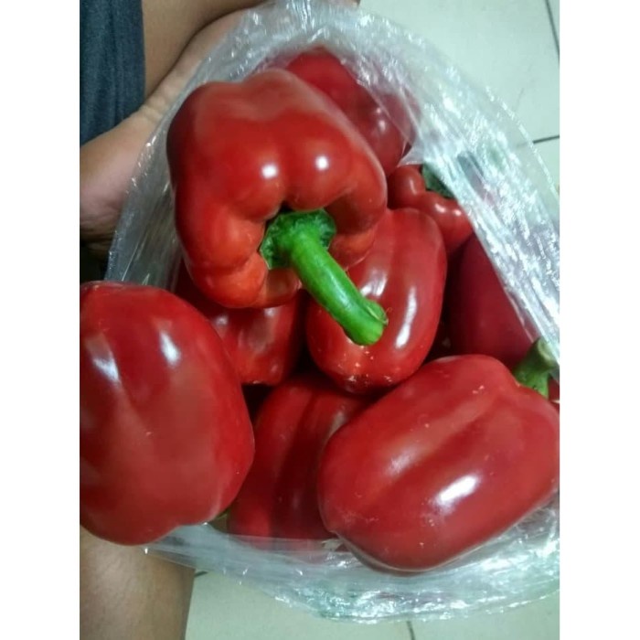 

Paprika MERAH FRESH 500gr - RED Paprika