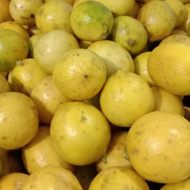 

Lemon California Grade A 1kg 25.000