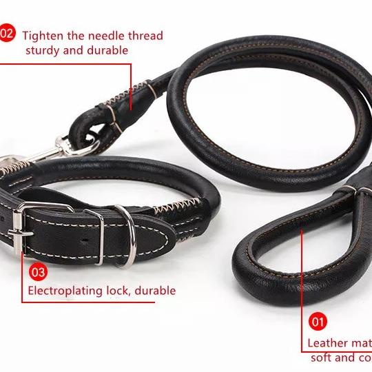 Kalung tali tuntun dog collar leash kulit anjing besar pitbull golden