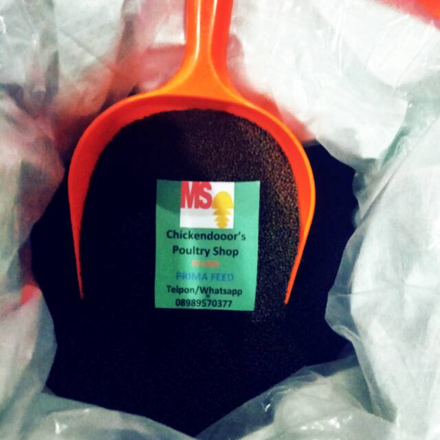 PF1000 1 kg  pellet ikan Guppy pakan Molly makanan ikan Neon Tetra Platys Coral Platy Danio Slayer m