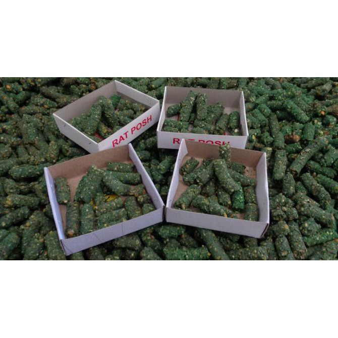 Racun Tikus Ikan Asin (Terbukti pasti DIMAKAN & AMPUH) AP018