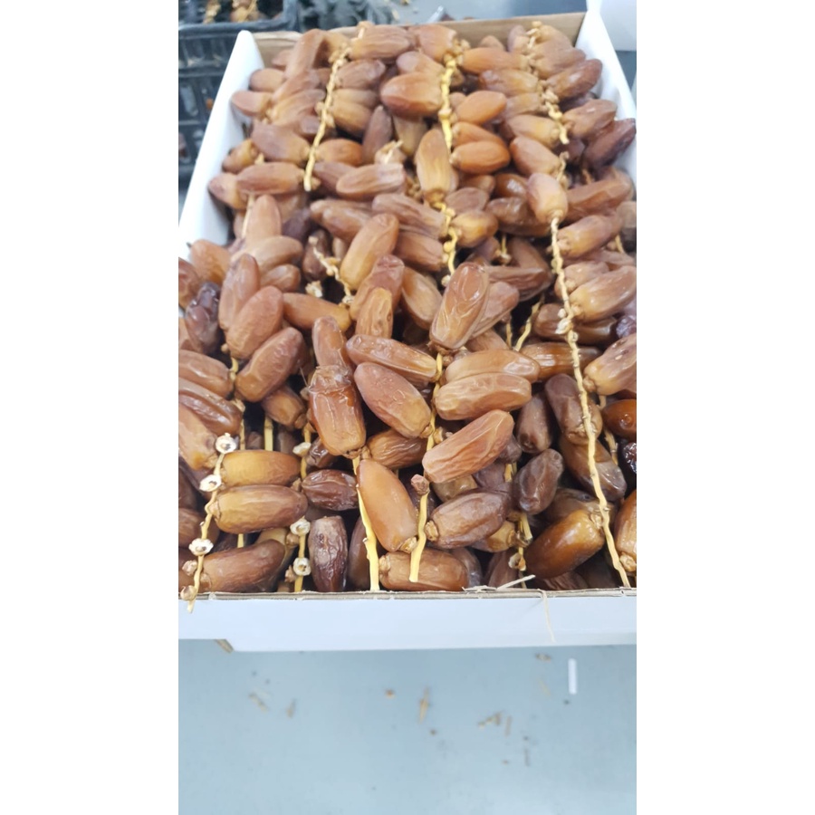 

KURMA TUNISIA TANGKAI 5KG / PLM TANGKAI /TUNISIA